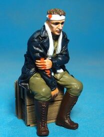 Wounded Pilot