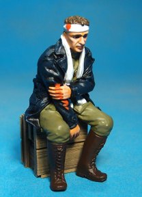 Wounded Pilot